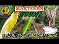 Download Lagu KENARI VS GEREJA TARUNG - Masteran Burung Lombaa