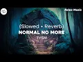 Download Lagu TYSM - Normal No More (Slowed + Reverb) ⚠️ Use Headphones ⚠️🎧