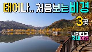 속리산 서원계곡 말티재, 문광저수지, 은행나무길 환상적인 데칼코마니 호수 캠핑카 차박여행 아찔한 꼬부랑 고개 드라이브,  계곡 차박 노지 탐방, 여행지 3곳, 썸네일