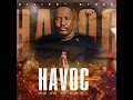 Download Lagu Citizen Sthee - Havoc (Groove Mix)