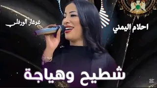 شطيح وهياجة احلام اليمني دندنها