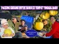 Lagu PACKING BARANG UNTUK DIBAWA KE TEMPAT TINGGAL BARU DI HUAIHUA SEKALIAN PANEN BANYAK BUAH PAMELO