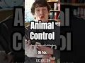Lagu All episodes of Animal Control streaming on ​⁠@hulu now 🌞 #animalcontrol #animals #comedy #tvshow