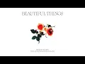 Download Lagu Benson Boone - Beautiful Things (The Chainsmokers Remix)