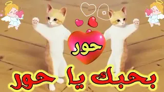 Song Basem Hour I Love You Hour Hour S Birthday First Comment Saudi Arabia Kuwait Iraq 