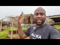 Download Lagu I Visited The People Who Speak My Language, In A Different State. Welcome To Omolua, Igbanke