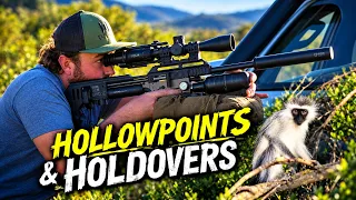 SURGICAL Precision: Monkey Control with Airguns | Baviaanskloof 2026, Pt.1