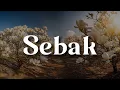 Lagu Sebak,  Sekelip Mata Kau Berubah,  Salju Di Danau Rindu  (Lirik)  - Ukays || Mix…