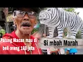 Lagu Patung Macan yg viral mau di beli orang 180 juta/Cak Suwari yg membuat patung gak terima