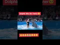 Download Lagu Dolphin Bite Trainer🐬🐬 🥹😭2025 08 11 220948170 #ai #dolphinattack #aivideo #dolphin  #killerwhales