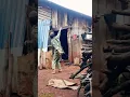 Download Lagu Tojana ( Sa Mau Koi ) feat.Lean Slim | Sa Mau Koi Ko Mau Dia - TIKTOK NEW TREND | TikTok Song Dance