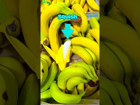 Я спрятала фейковые продукты в магазине