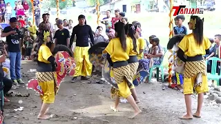 kuda lumping cantik singa depok satria denawa buta sanga edisi 11 mei 2022 desa sukaperna