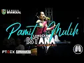 Download Lagu Campursari PAMIT MULIH | ISTANA CAMPURSARI BOJONEGORO | PTOEX SOUND SYTEM SPESIALIS ANALOG