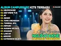 Lagu Album Silvy Kumalasari || NGUPAYAKNE - EGO WONG TUO || AF Pro Musik Full Album Terbaru 2026