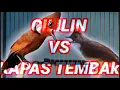 Download Lagu MASTERAN SUARA CILILIN VS KAPAS TEMBAK DIJAMIN AMPUH!!
