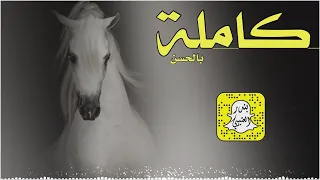 كامله بالحسن كلمات عيده المطيري اداء محمد الهوشان 2025 حصريا 