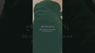 قران الكريم محمد اللحيدان النقاب  قران الكريم محمد اللحيدان النقاب