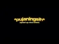 Download Lagu PUJANINGSIH TIKTOK VERSION