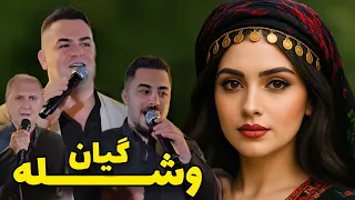 وشله گیان فرشاد امینی Farshad Amini Washle Gyan 
