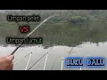 Lebih gacor mana umpan lumut atau pelet, kita buktikan ‼️Mancing Ngantang Hari ini