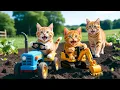 Download Lagu Mama Cat Trims Fur on the Farm and Makes Tiger Hat For Kittens At Home🐾🎩🐯