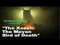 The Xooch: The Mayan Bird of Death | The Mayab Chronicles ENGLISH