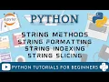 Strings In Python Data Types in Python Python Tutorials For Beginners Part 4