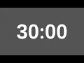 30 Minute Timer - 1800 Second Countdown
