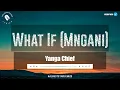 Lagu Yanga Chief – What If {Mngani} Lyrics (Official Video)