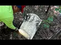 Download Lagu Forgotten \u0026 Destroyed: Gary Plantation Cemetery in Georgia Woods