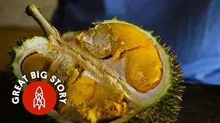 Durian Fruit A Smell So Rotten a Taste So Sweet