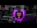 Download Lagu DJ TIA MONIKA X SU JAUH SA TANAM X CLBK X LAMPU KAKA | DJ KANE FULL SONG 2025 YANG KALIAN CARI