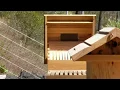 Installing 2020 Bees into Hexa Hives 2 mp4 crdownload