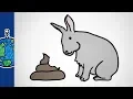 Why Do Some Animals Eat Poop