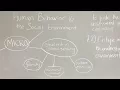 Human Behavior and the Social Environment