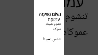 تعليم عبري من الصفر كلمات وجمل باللغة العبرية 