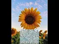 CASABLANCA -NAUFAL AZRIN \u0026 NUHA BAHRIN (audio only)