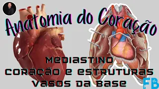 "Aula de Anatomia do Sistema Cardiovascular: Coração"