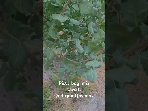 #agro