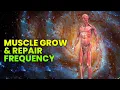 Muscle Growth Subliminal Muscle Healing Frequency Muscle Repair Recovery Music