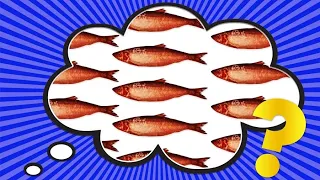 Where Did the Phrase Red Herring Come From