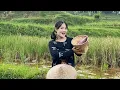 Download Lagu WOOW LUAR BIASA!! KALAU UDAH JALAN DISAWAH SEMUA MASALAH HILANG BARENG NENG LENI SINGLE MOM