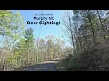 4K Road Trip - Drive Around Murphy NC