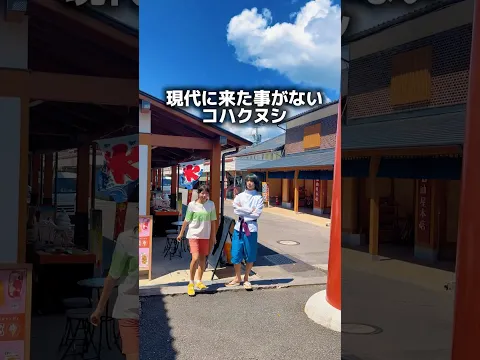 現代に連れてきてしまったハク。