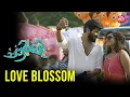 Download Lagu Love Blossom✨ | Dulquer Salmaan | Charlie |  Malayalam Movies | Sun NXT Malayalam