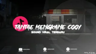 dj tanta e mengkane terbaru yang fyp di tiktok