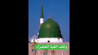 وتلك القبة الخضراء وفيها الحبيب ابراهيم بن محمد الهدار 