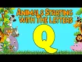 Animals Starting with Q Kids Learn English Vocabulary