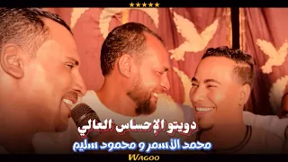 أقوى دويتو في صعيد مصر  غزال الصعيد  و كوكب الصعيد    دندنها